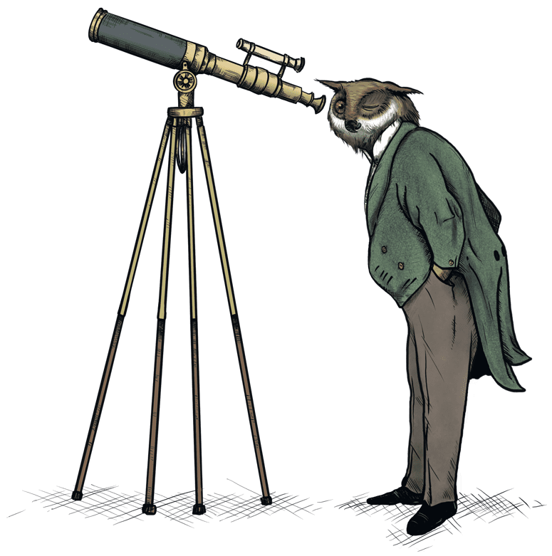 One Page Websites | Gloucester & Cheltenham | Owl With Telescope