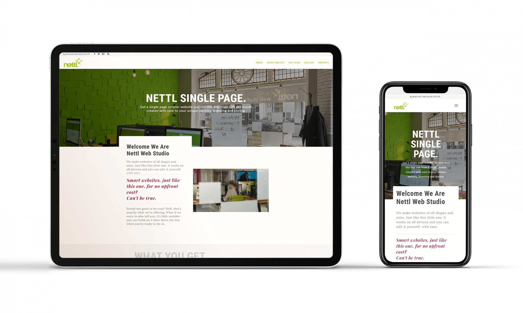 Professional Web Design Gloucester | Gloucester & Cheltenham | nettl mock up