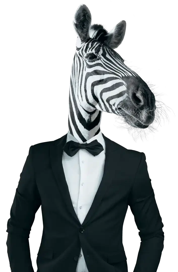 Marketing Agency | Gloucester & Cheltenham | Zebra Head Shoulders